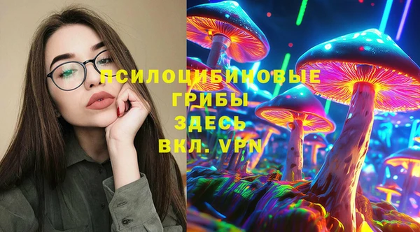 соль курить ск Алзамай