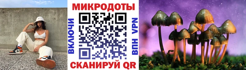 Псилоцибиновые грибы Cubensis  Алупка 